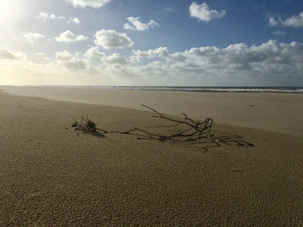 Sommeil et énergie : soins énergétiques à Bordeaux