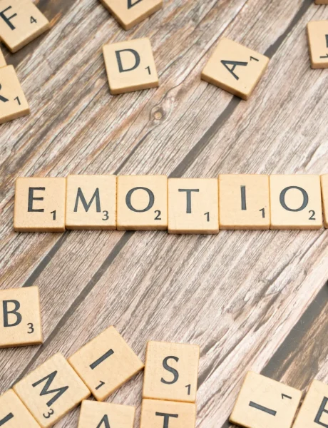 Séance de soutien pour traverser un deuil et retrouver équilibre